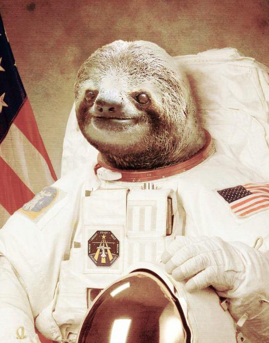Astronaut Sloth Know Your Meme