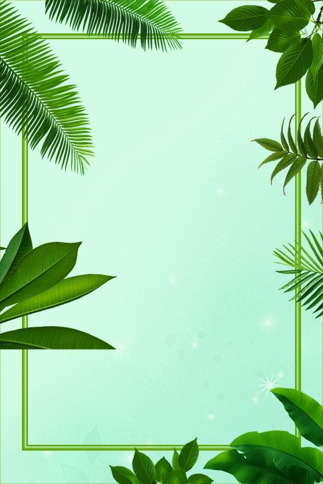 Summer Minimalist Frame Promotion Leaf Layered Background