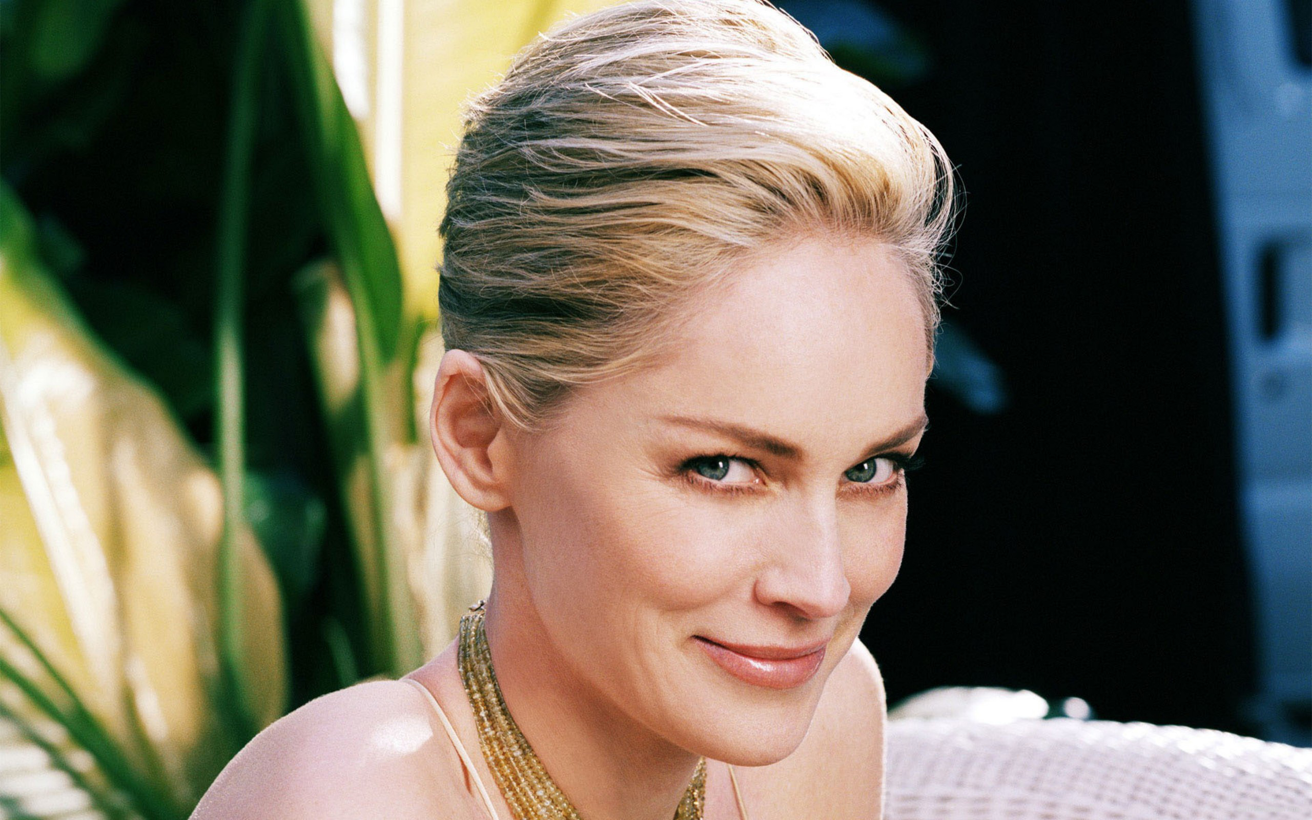 Sharon Stone HD Wallpaper Iconic American Actress Celebrity Spotlight