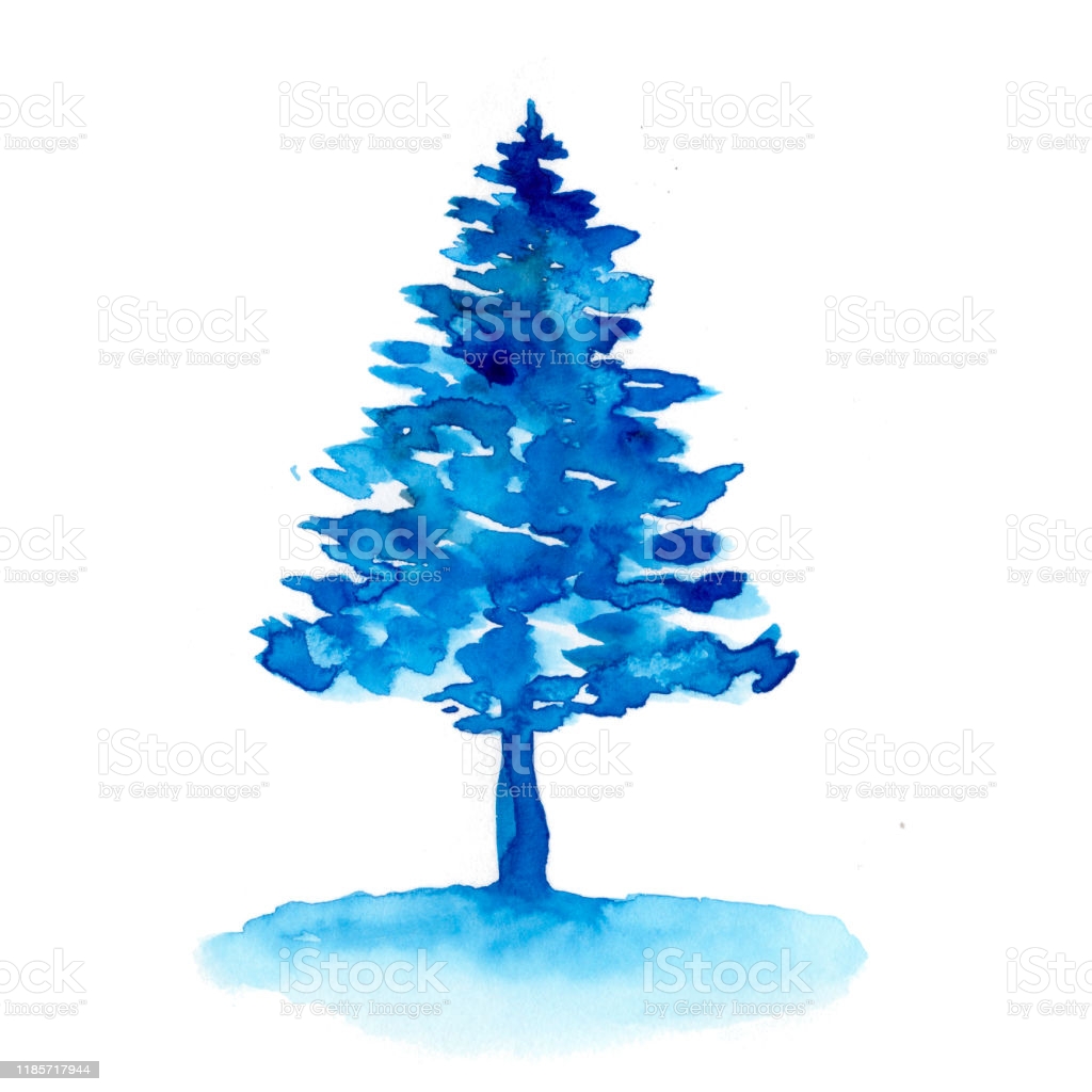 Watercolor Winter Blue Christmas Pine Tree Isolated On White