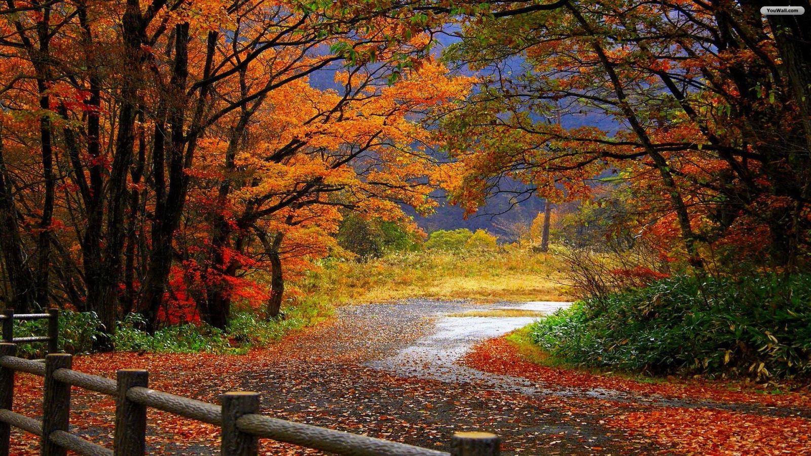 Autumn Scenery Wallpaper