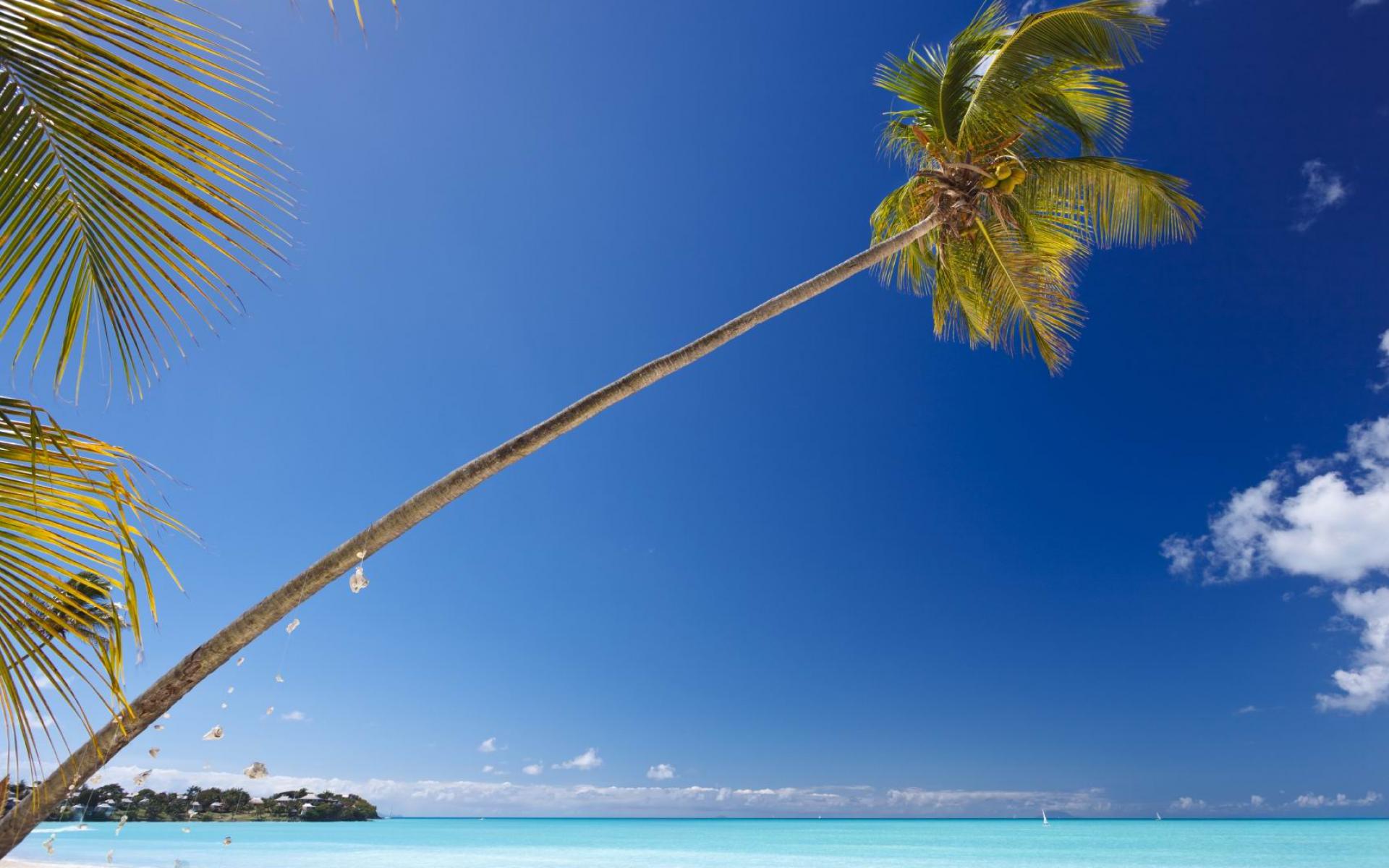 Caribbean Tropical Beach Full HD Desktop Wallpapers 1080p