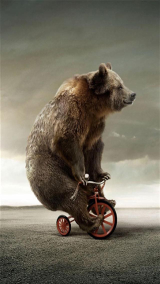 Circus Bear On Tricycle Animal iPhone Wallpapers iPhone 5s4s3G 640x1136