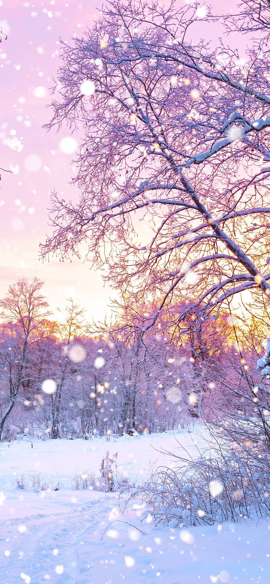 Cute Winter iPhone Wallpaper