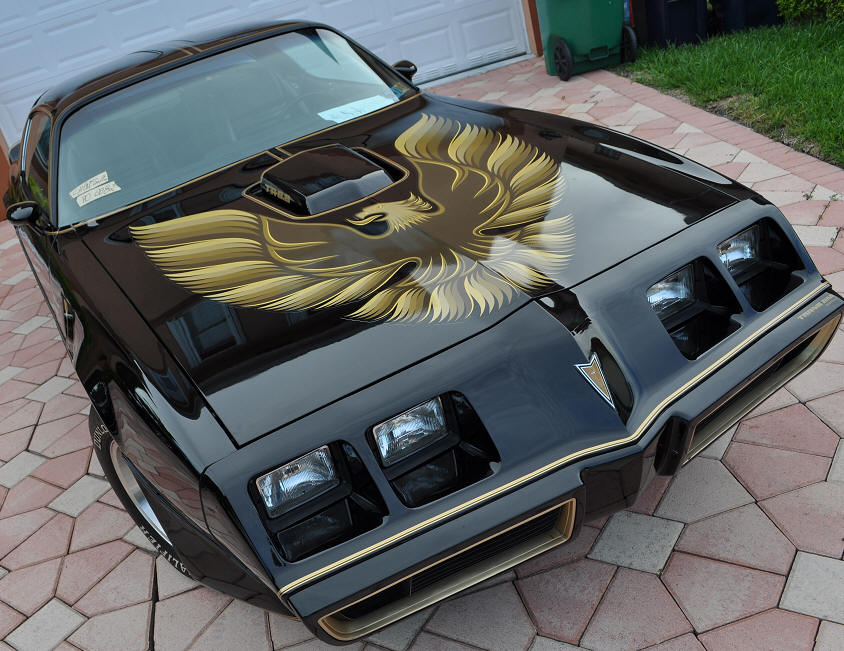 Of Pontiac Trans Am Y84 Special Edition Speed Wallpaper Picture