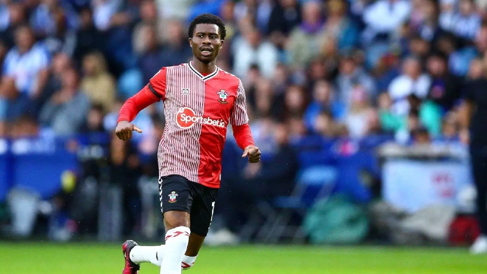 Bayer Leverkusen Secure Nathan Tella Signing From Southampton Wallpaper
