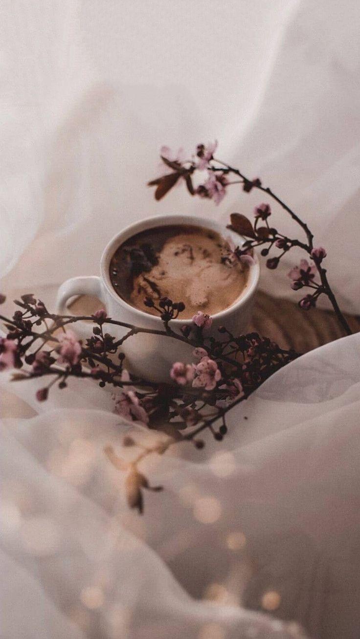 🔥 Free download Rosangela on Caf Iphone wallpaper aesthetic [736x1308