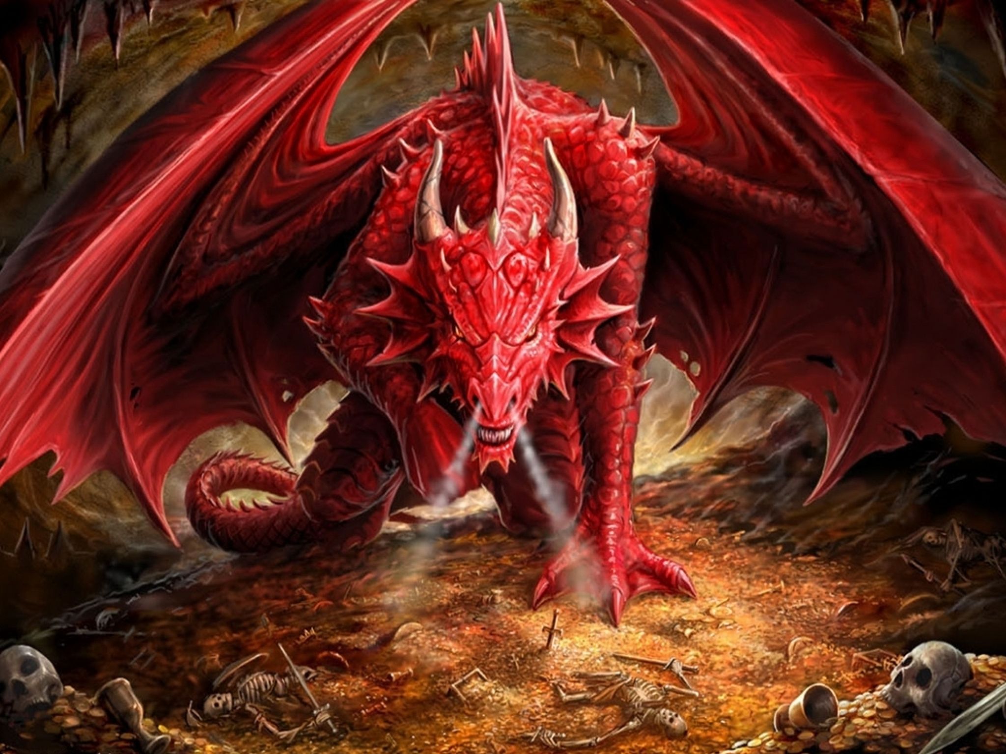 Draak Wallpaper