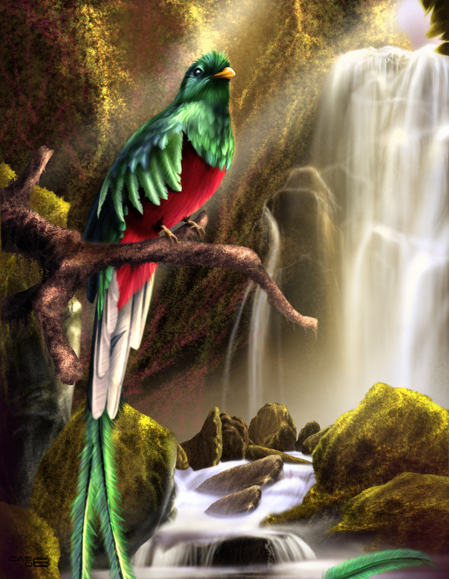 Quetzal Flying Wallpaper HD Background Desktop Ecro