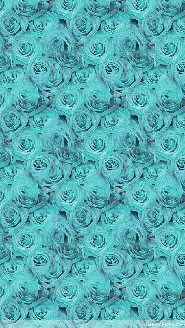 Installing This Teal Roses iPhone Wallpaper Is Very Easy Just Click