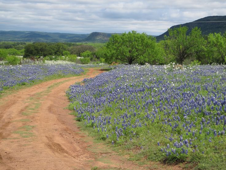 Texas Hill Country Google Search Scenery