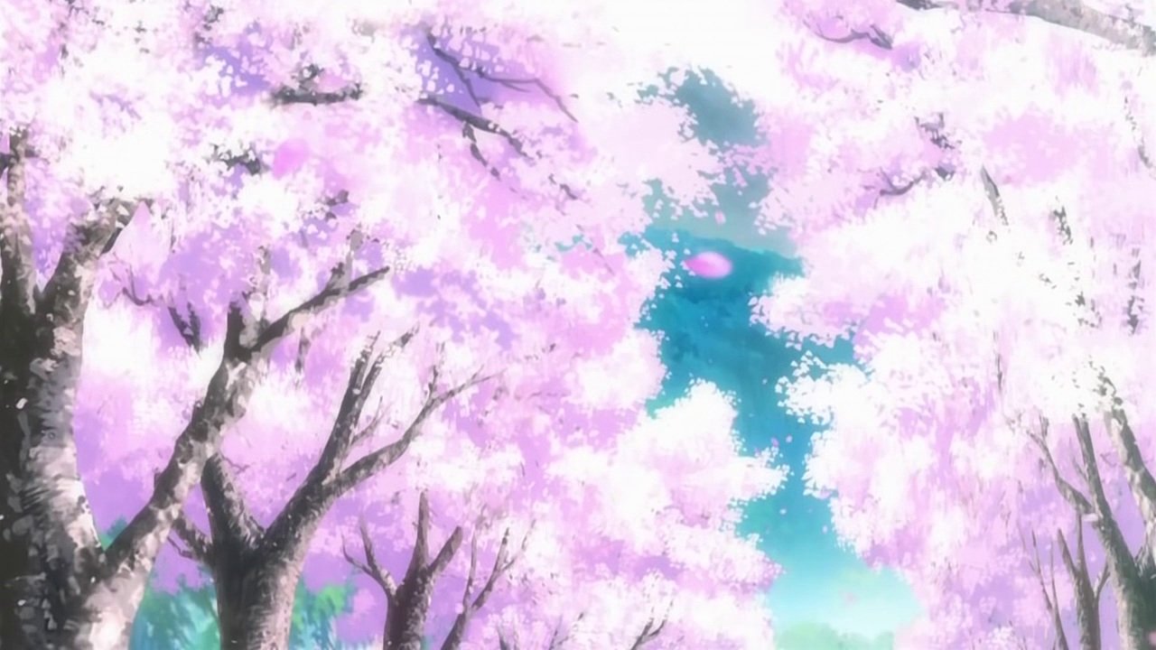 Free download Animated Cherry [1280x720] for your Desktop, Mobile & Tablet  | Explore 41+ Anime Cherry Blossom Wallpaper | Cherry Blossom Background, Cherry  Blossom Wallpaper, Cherry Blossom Desktop Background