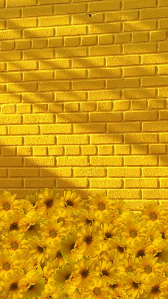 Light Yellow Wallpaper