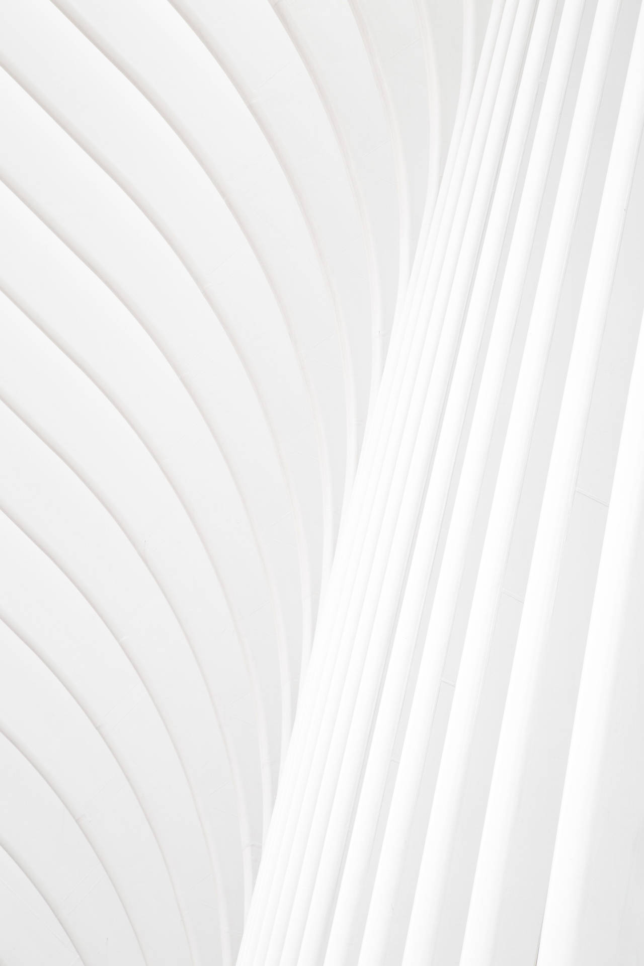 Portrait Solid White Pattern Wallpaper