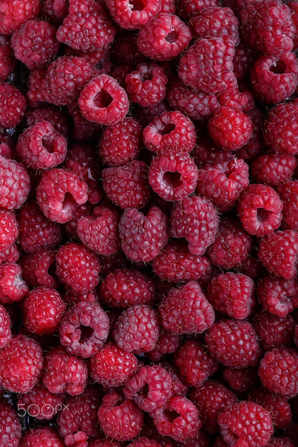 Fresh Raspberries Bountiful Berries In Fruit Photography