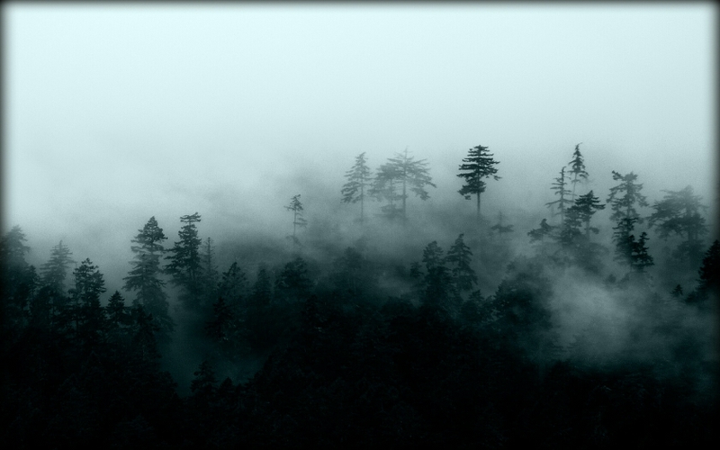 Misty Mountain Silhouettes Nature Forests HD Wallpaper