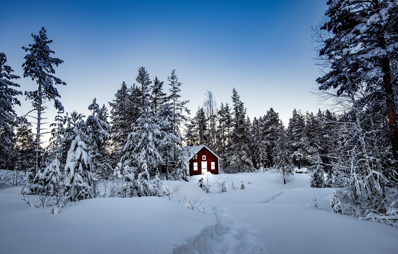 Wallpaper Winter Forest Snow Trees House Sweden