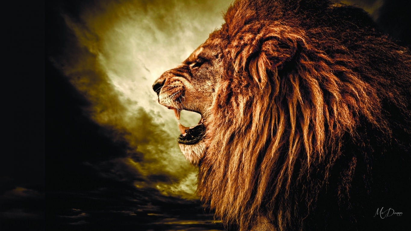 Free download Roaring Lions Wallpaper [1366x768] for your Desktop, Mobile &  Tablet | Explore 94+ Lion Roar Wallpapers | Lion Wallpapers, Rasta Lion  Wallpaper, Mac Lion Wallpaper