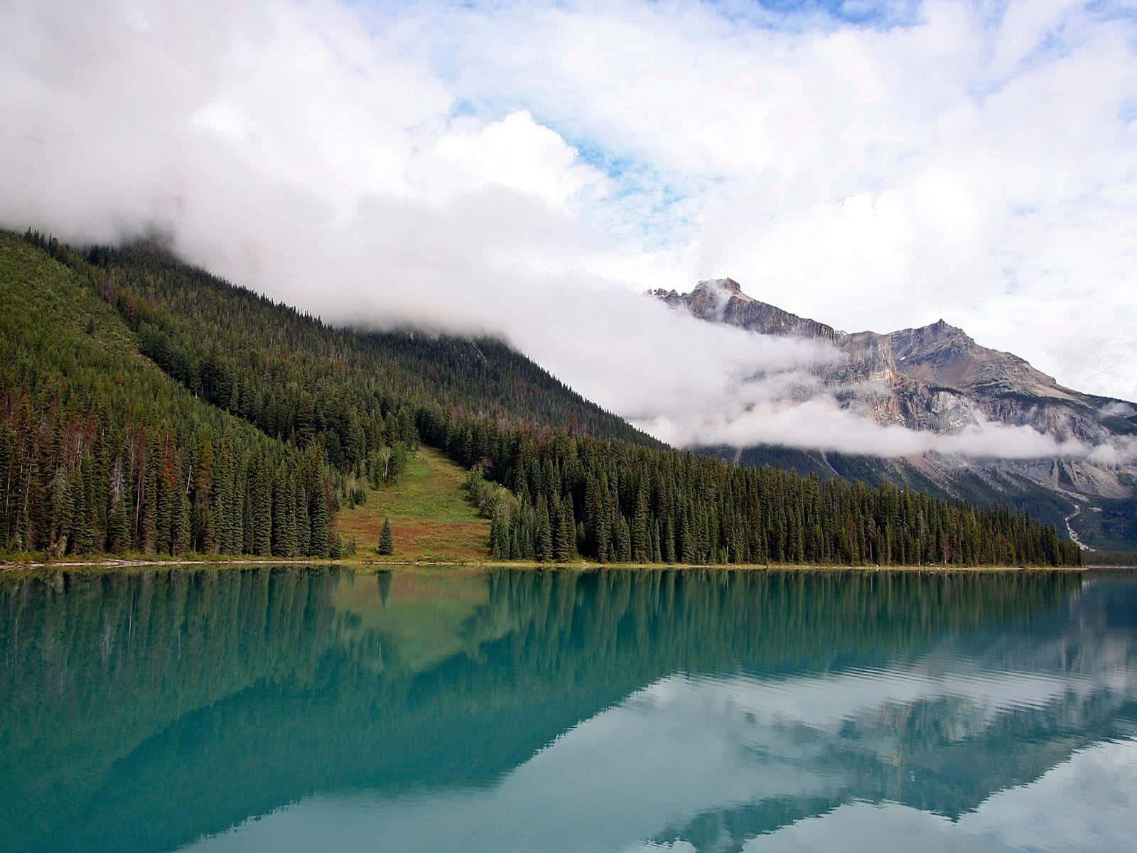 Calming Desktop Wallpaper