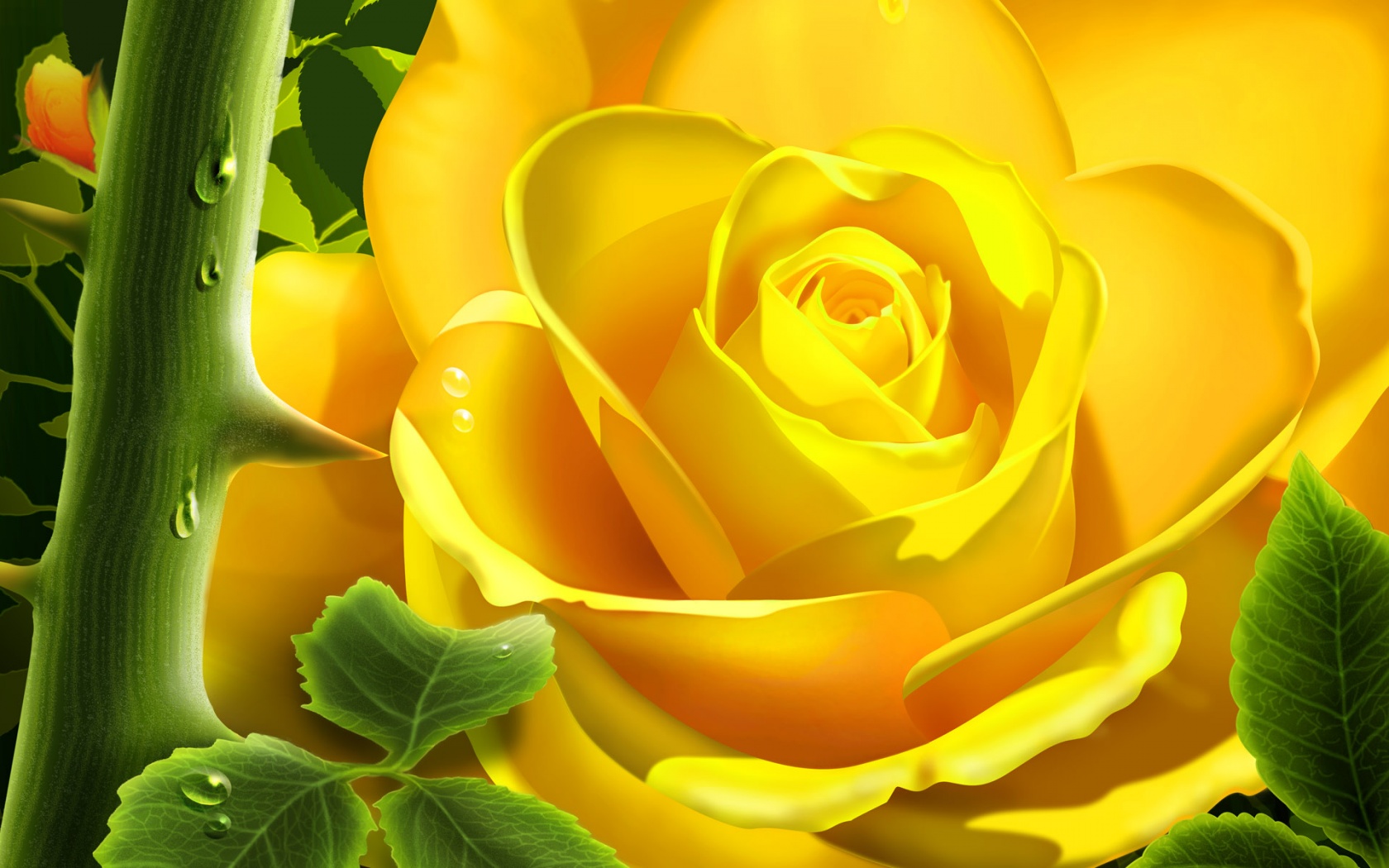 Yellow Bloom Wallpapers HD Wallpapers