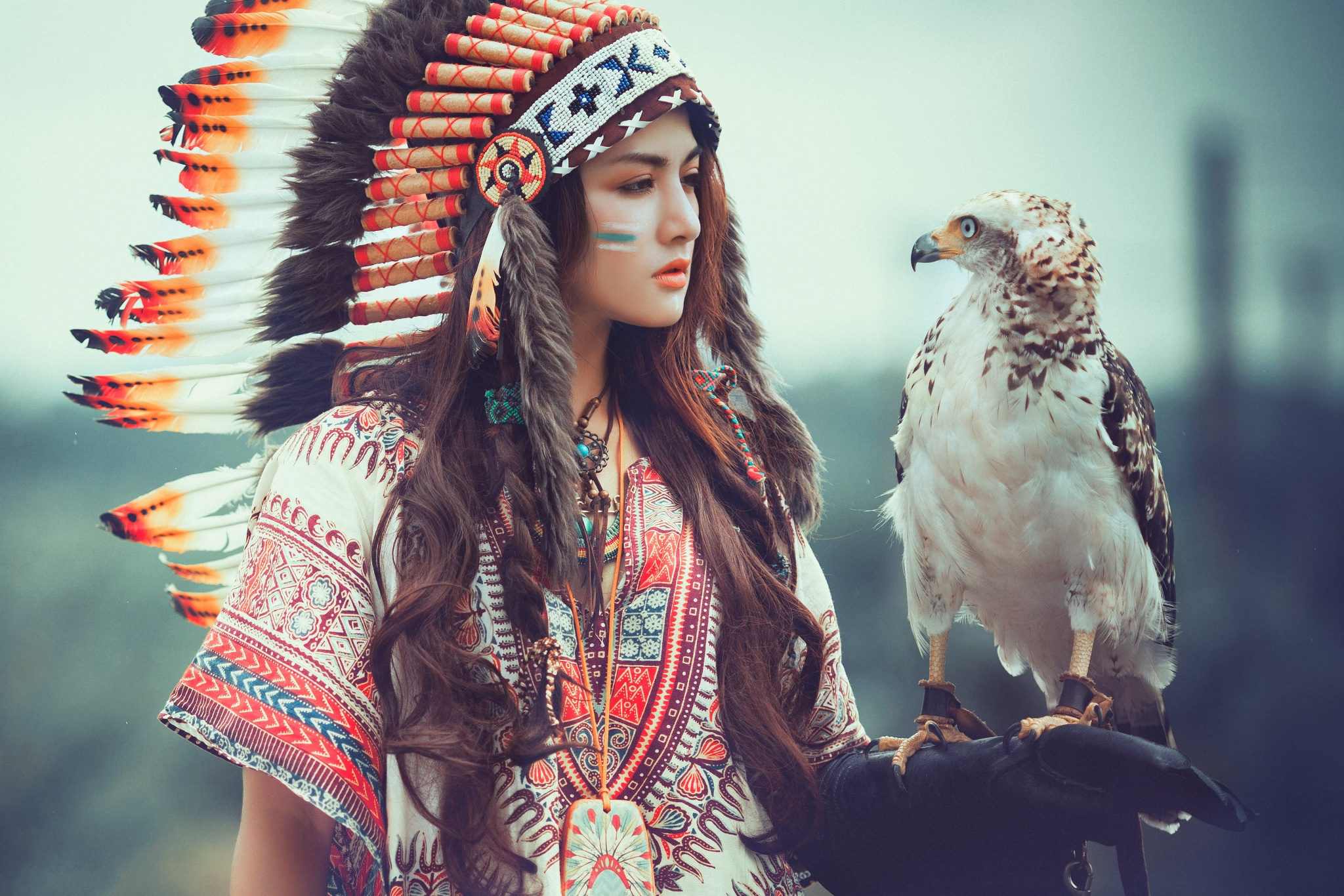 Native American HD Wallpaper Background Image