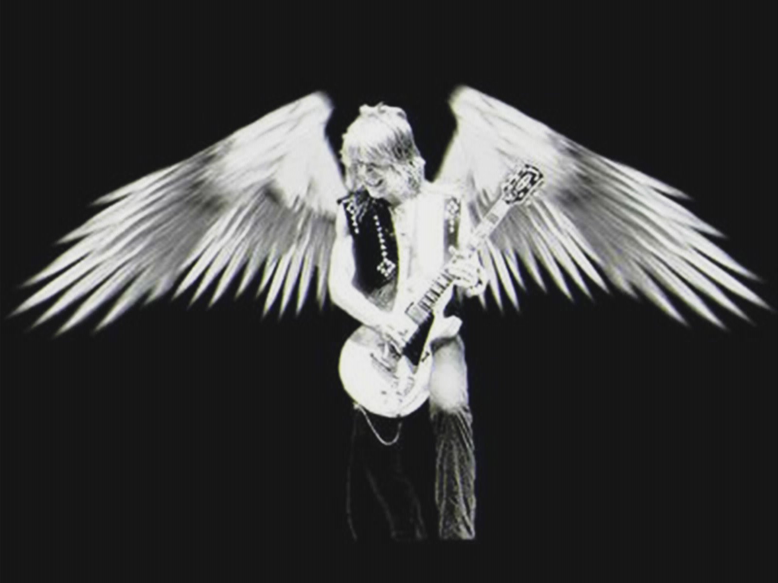 Ozzy Osbourne Heavy Metal Randy Rhoads Guitar Fantasy Angel Wallpaper