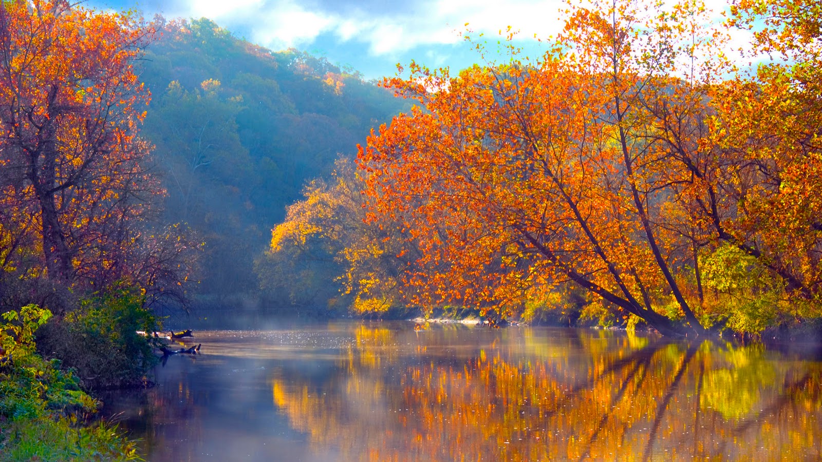 Nature Trees Wallpaper 1600x900 Nature Trees Lakes Reflections