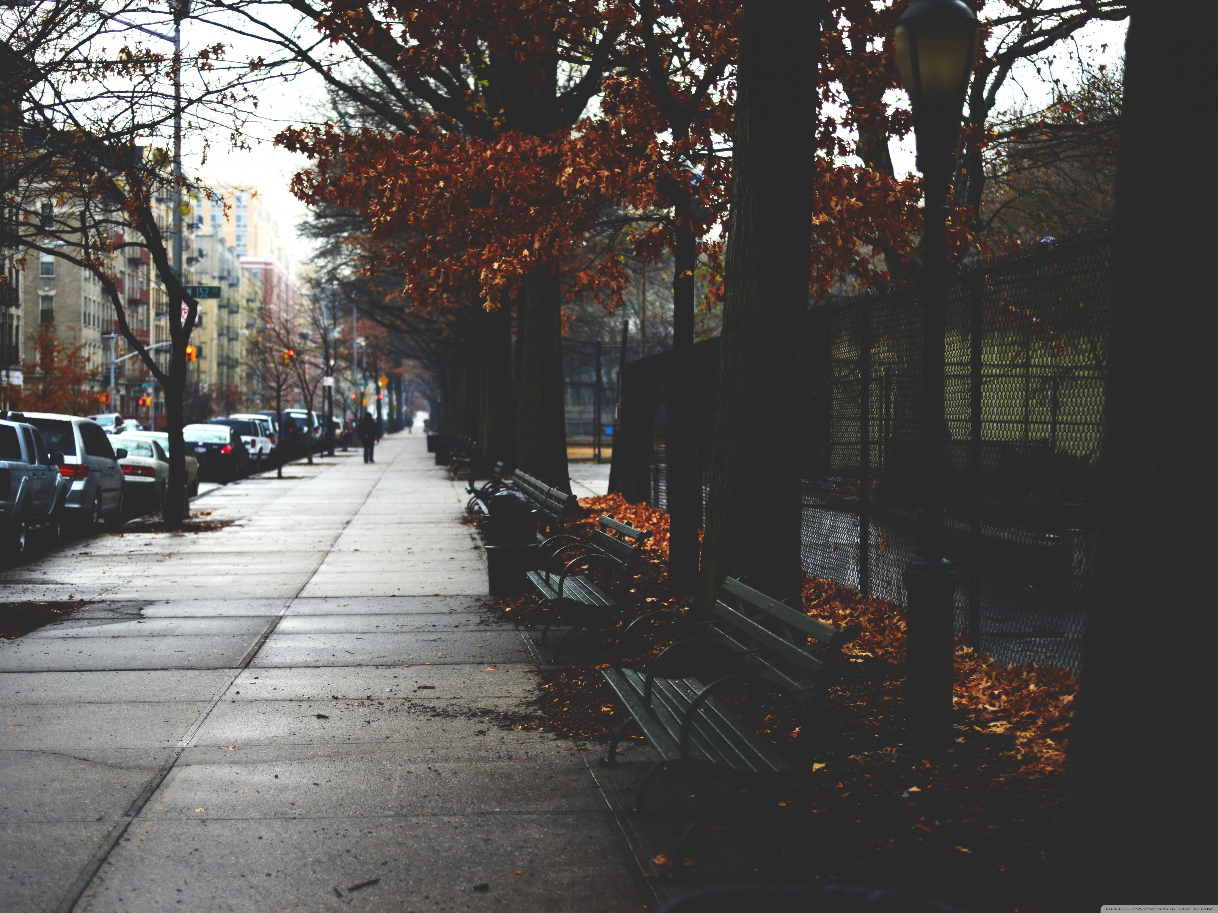 Cold Autumn Day In New York City 4k HD Desktop Wallpaper For