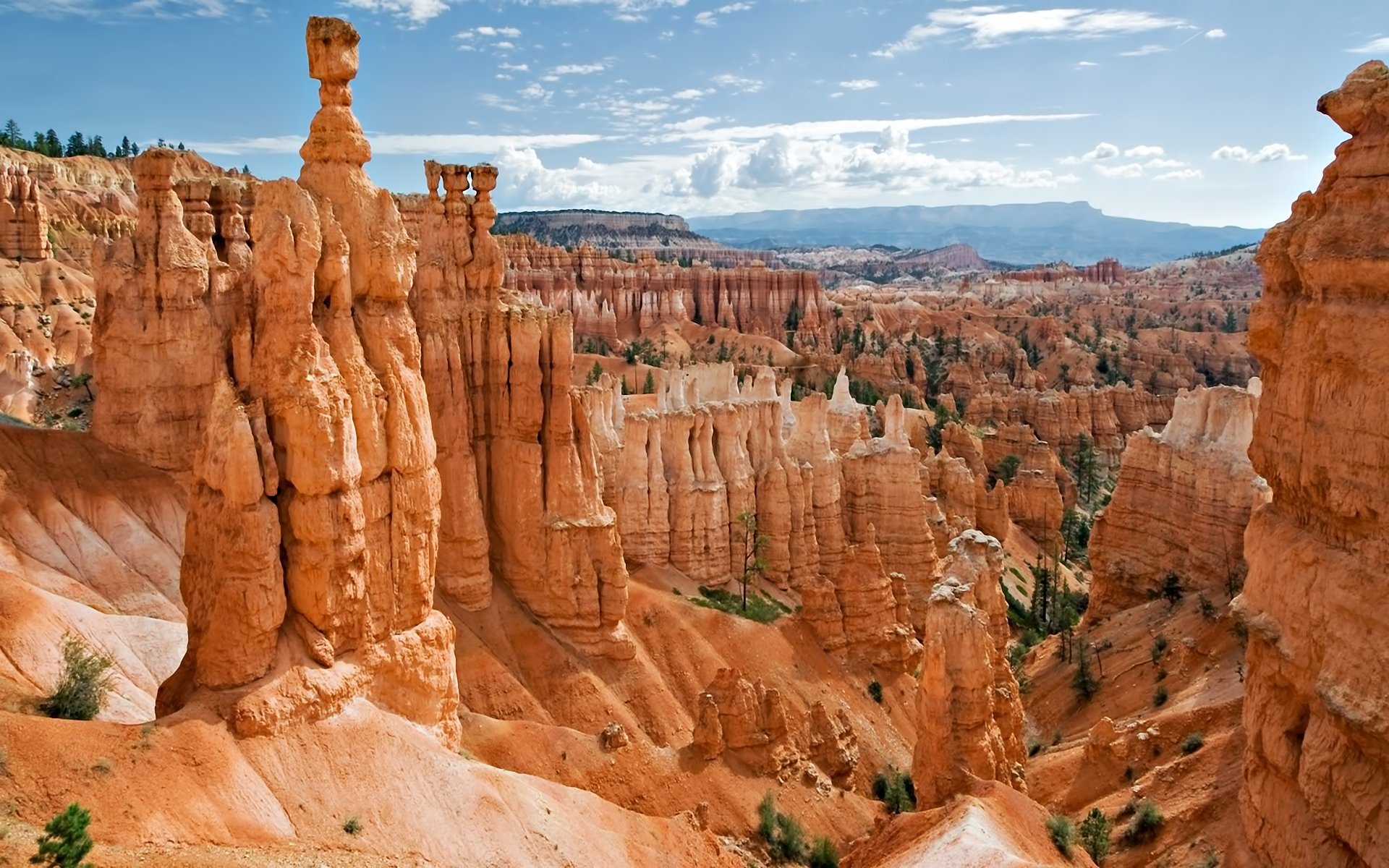 Bryce Canyon National Park HD Wallpaper Background Image