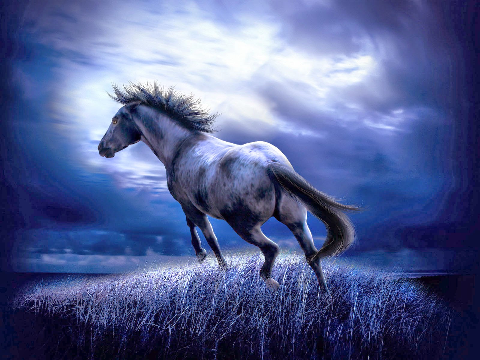A majestic gray horse gallops across a moonlit field, its mane and tail flowing in the wind. The backdrop is a dramatic, dark blue sky, creating a captivating and powerful image
