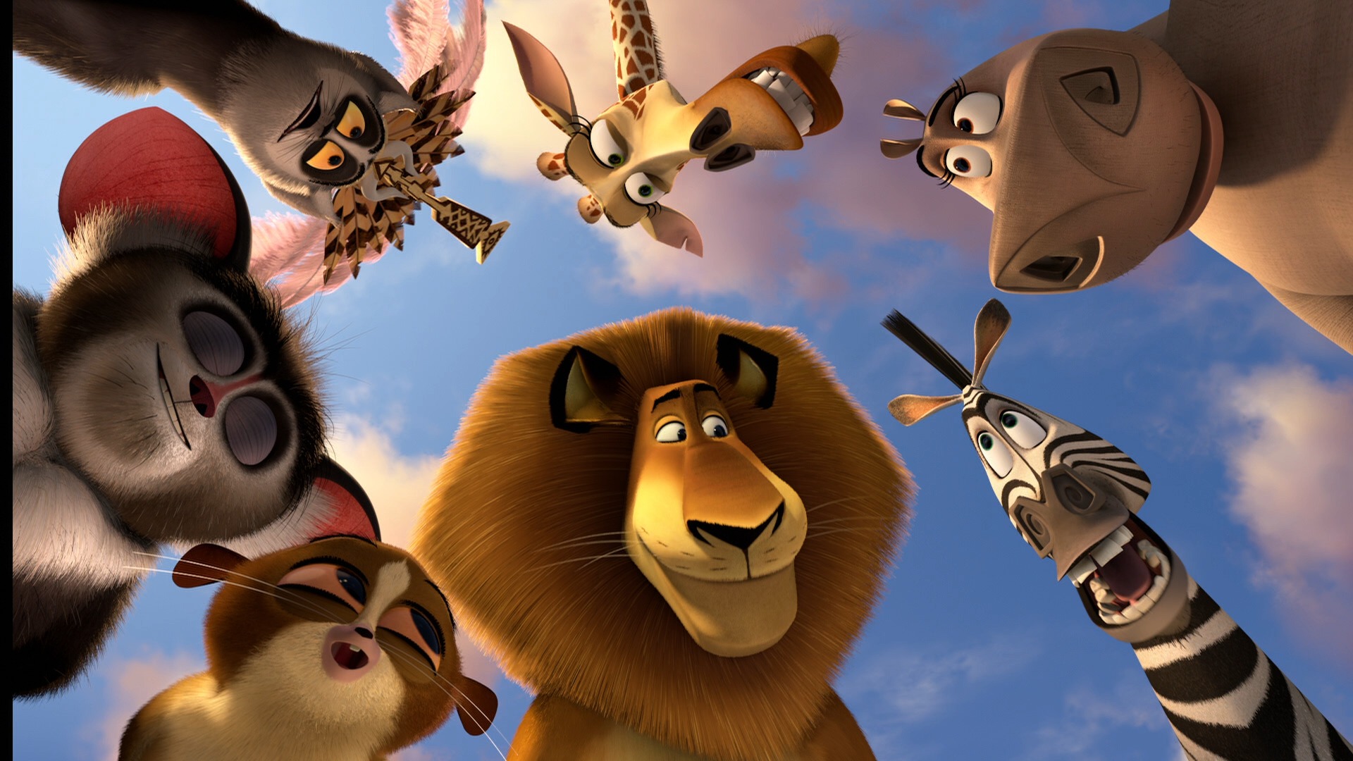 Madagascar Marty HD Wallpaper Background Of Your
