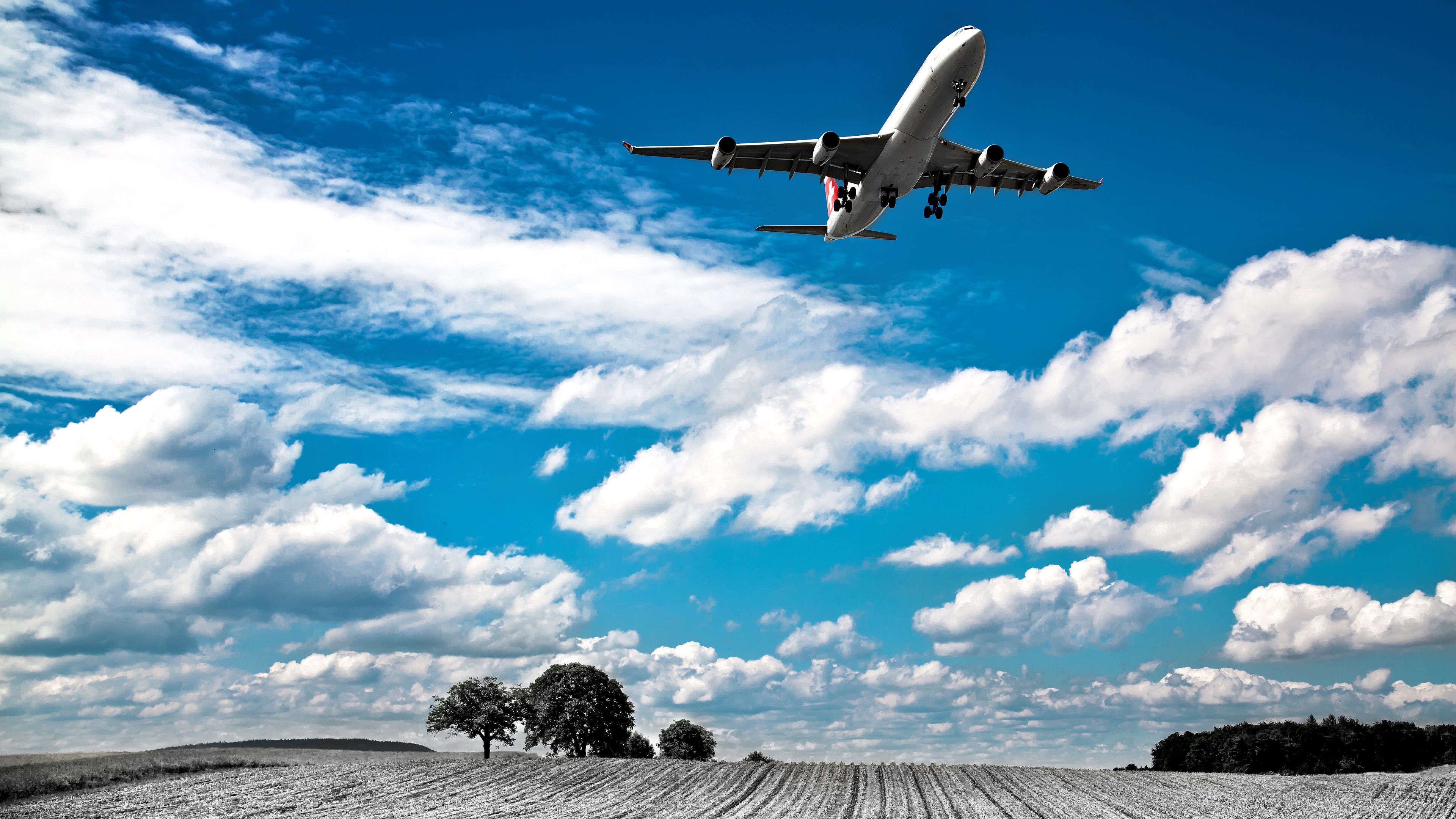 Soaring Swiss Airlines Wallpaper