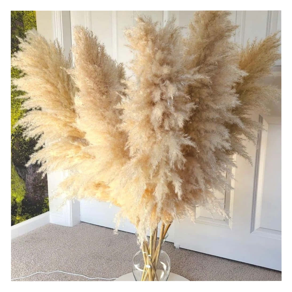 Pampas Grass Background Wallpaper