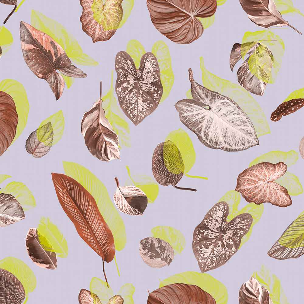 Wallpaper Twins Murals