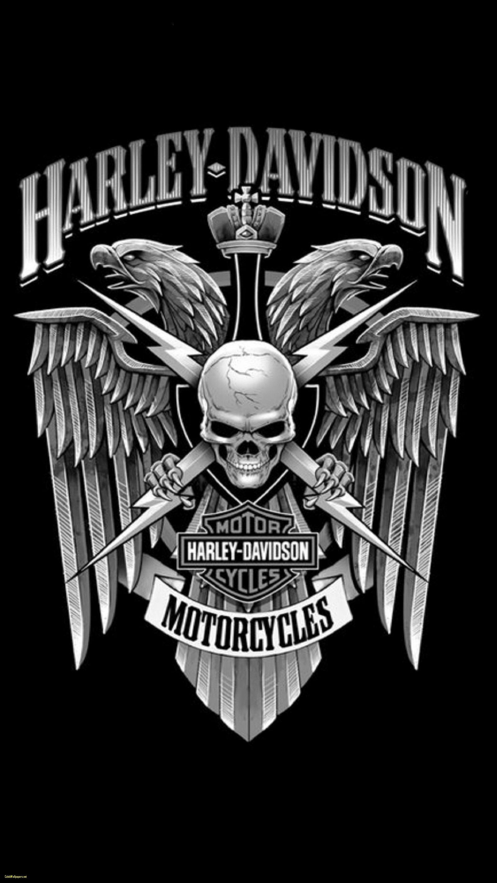 Harley Davidson Wallpaper Check Out This For