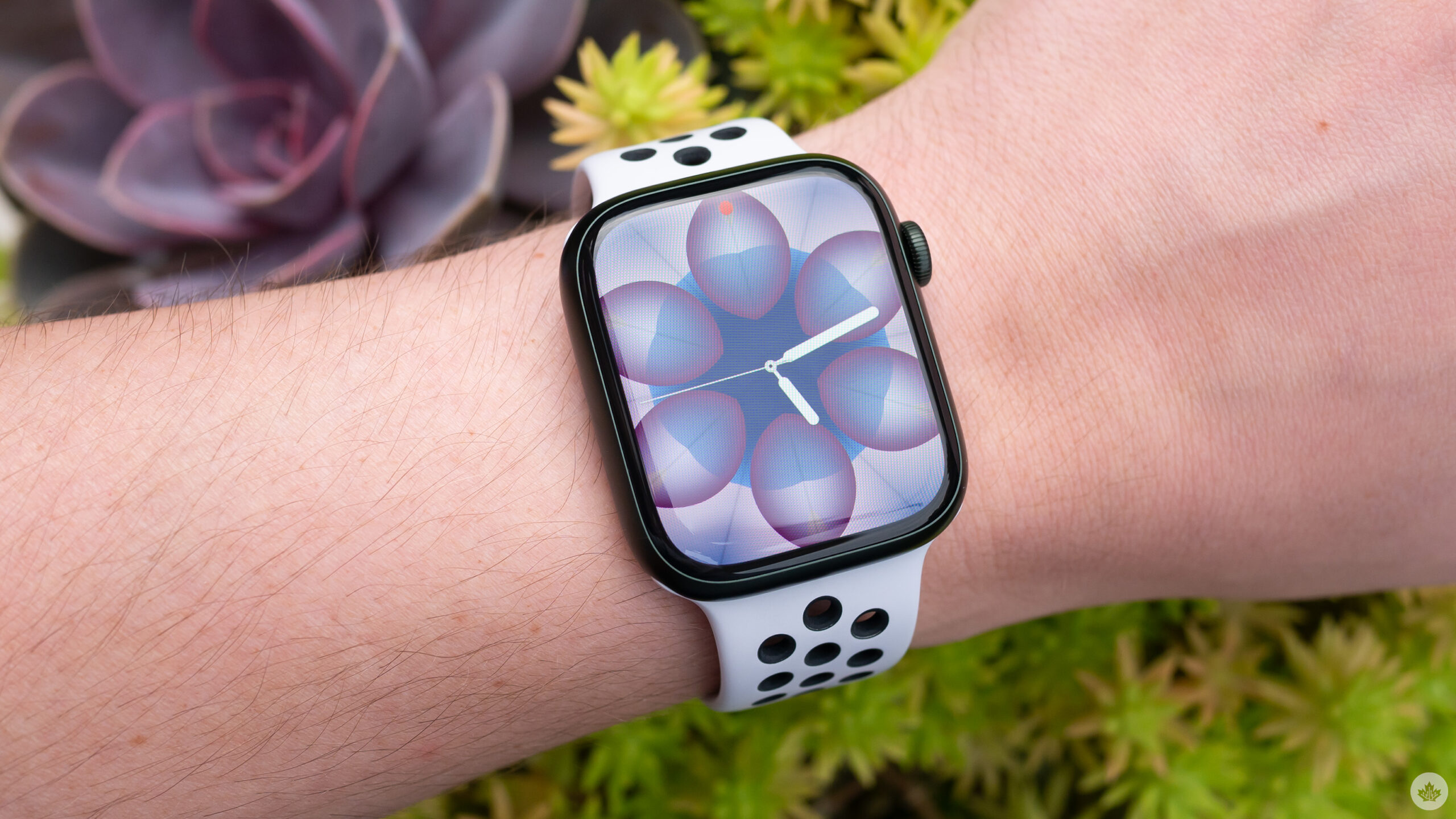 Apple Watch Series Could Feature Body Temperature Measurement