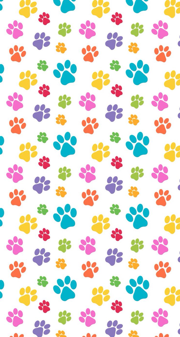 Colorful Paw Prints iPhone Wallpaper