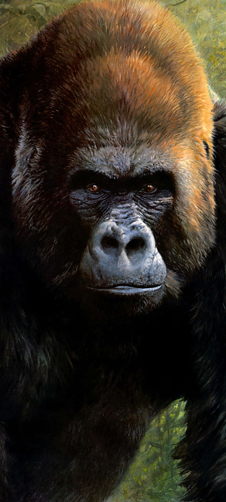 iPhone Xs Gorilla Background Wallpaper