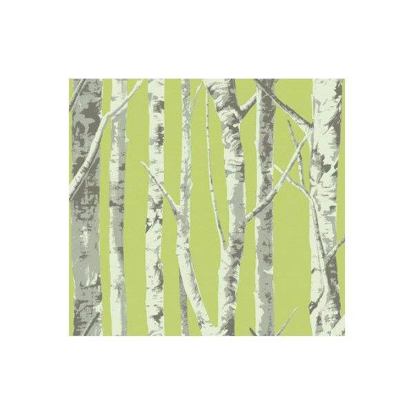 Birch Tree Green Wallpaper For Kv