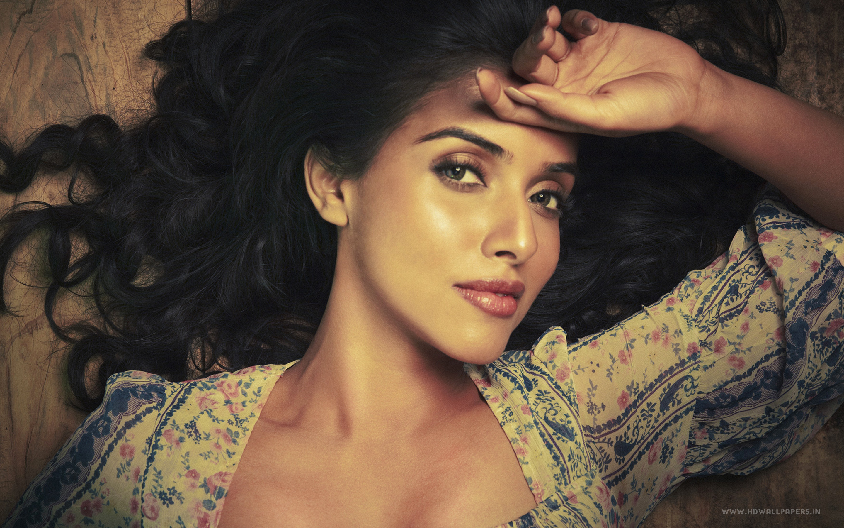 Bollywood Actress Asin Wallpaper HD
