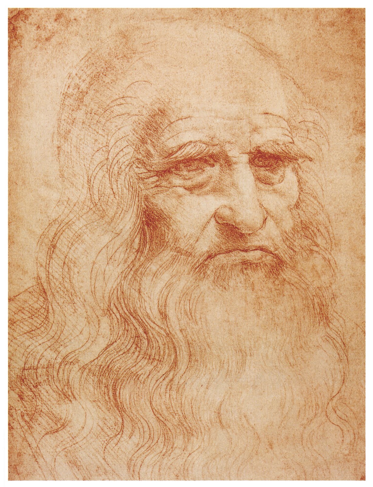 Da Vinci Paints Drawings HD Wallpaper In