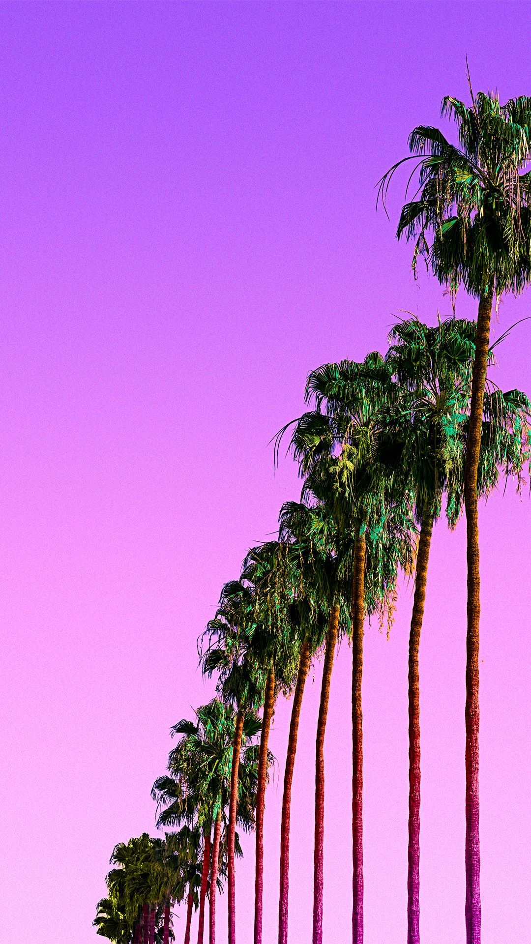 Purple Tree Wallpaper