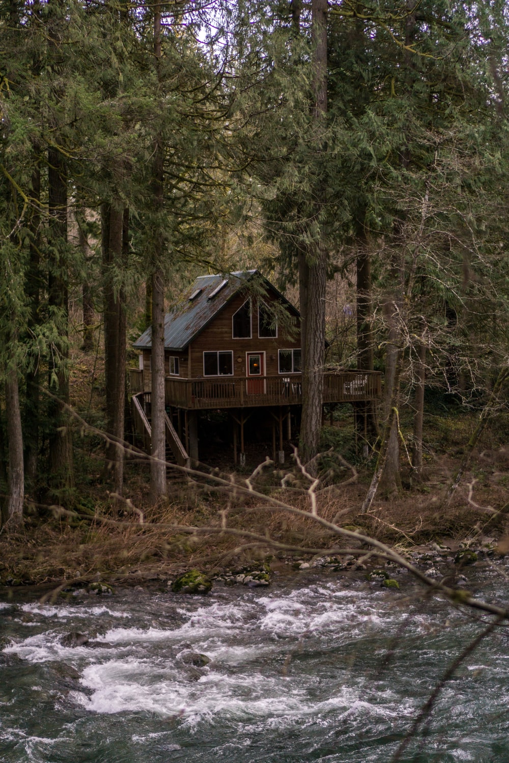 House In The Woods Pictures Image