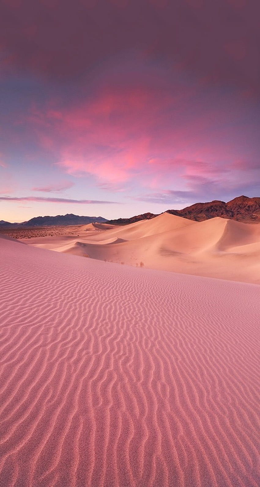 Desert Aesthetic Wallpaper