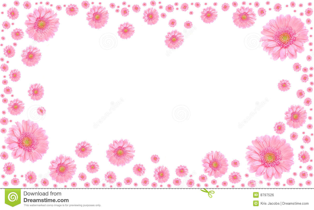 Pretty Pink Flower White Background Frame On