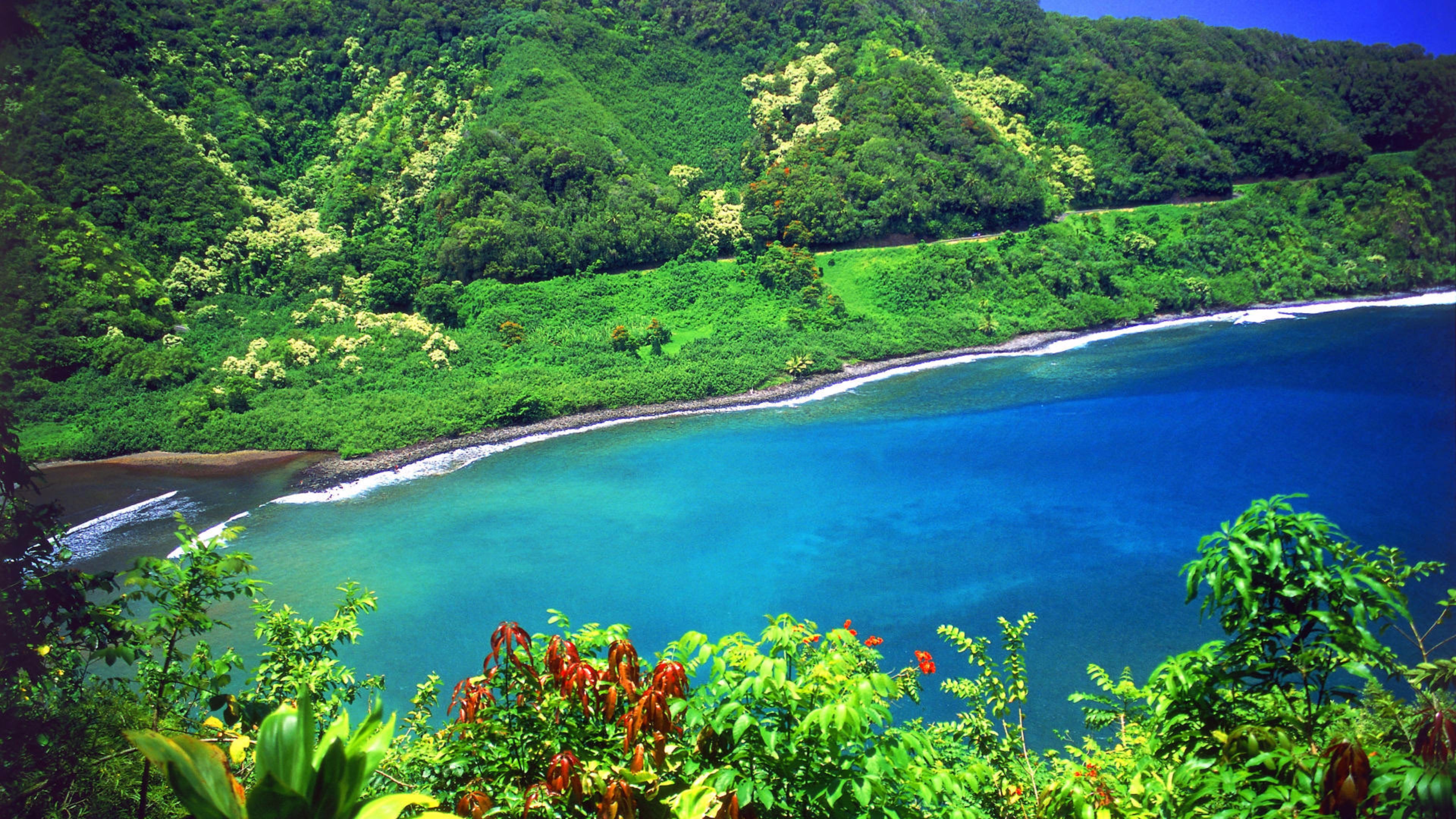 4K Nature Wallpaper WallpaperSafari 4K Nature Wallpaper WallpaperSafari