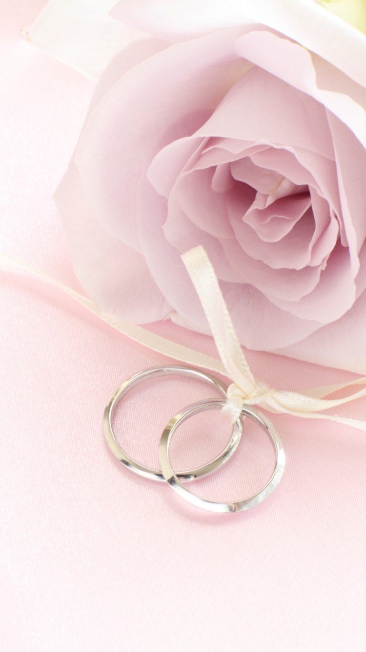 Pink Rose with Rings Wallpaper   Free iPhone Wallpapers