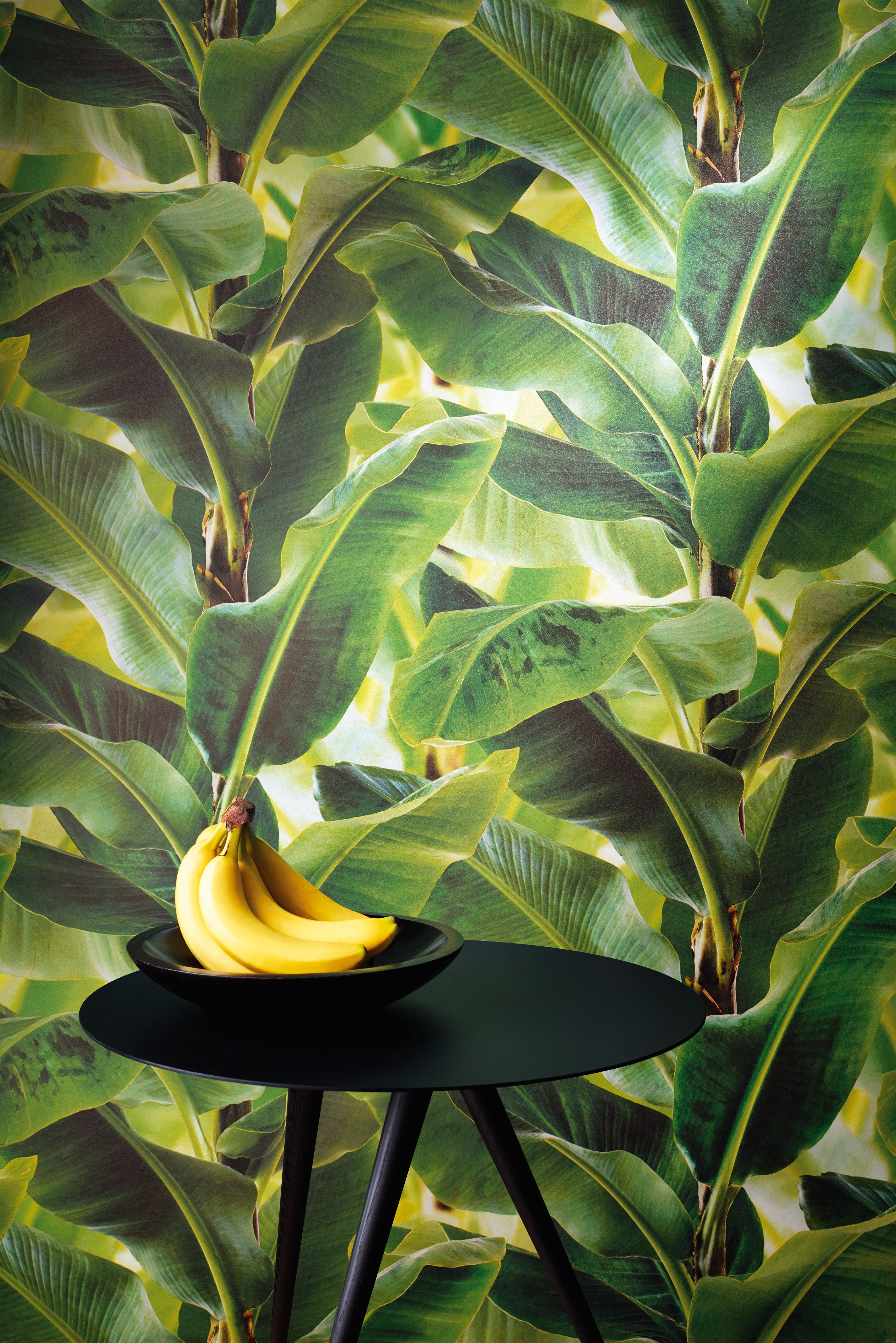 Banana Leaf Vinyl Wallcovering Go Bananas Palm Wallpaper