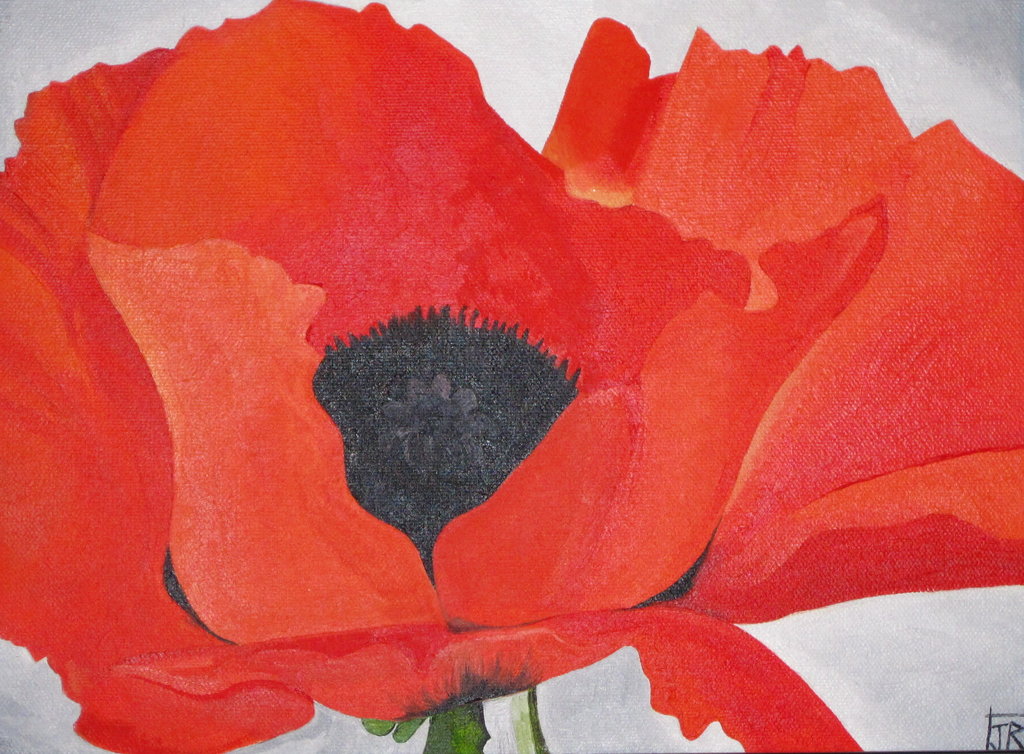 Georgia O Keefe Red Poppy By Thericebros
