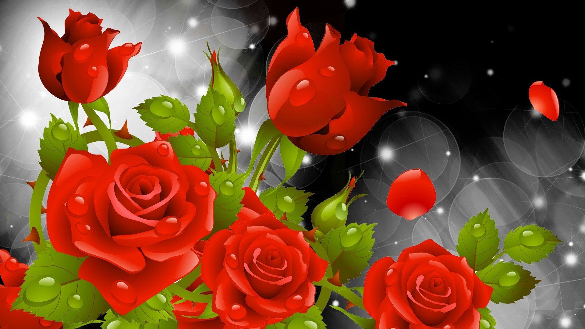 Rose Flowers HD Wallpaper Pictures On Greepx
